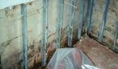 scan0045507d55130b34f 170x100 Mold Remediation & Removal
