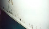 scan0052507d5513751aa 170x100 Mold Remediation & Removal