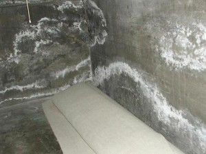 Efflorescence 600 300x225 1 5 Unmistakable Signs Your Home Needs Foundation Waterproofing Morganville, NJ