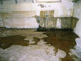 images 1 5 Unmistakable Signs Your Home Needs Foundation Waterproofing Morganville, NJ