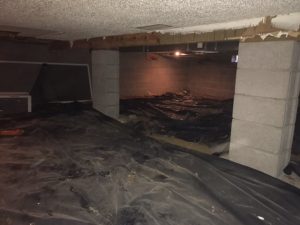 %name 3 Crawlspace Waterproofing Tips to Keep Basement Pests Out Morganville, NJ
