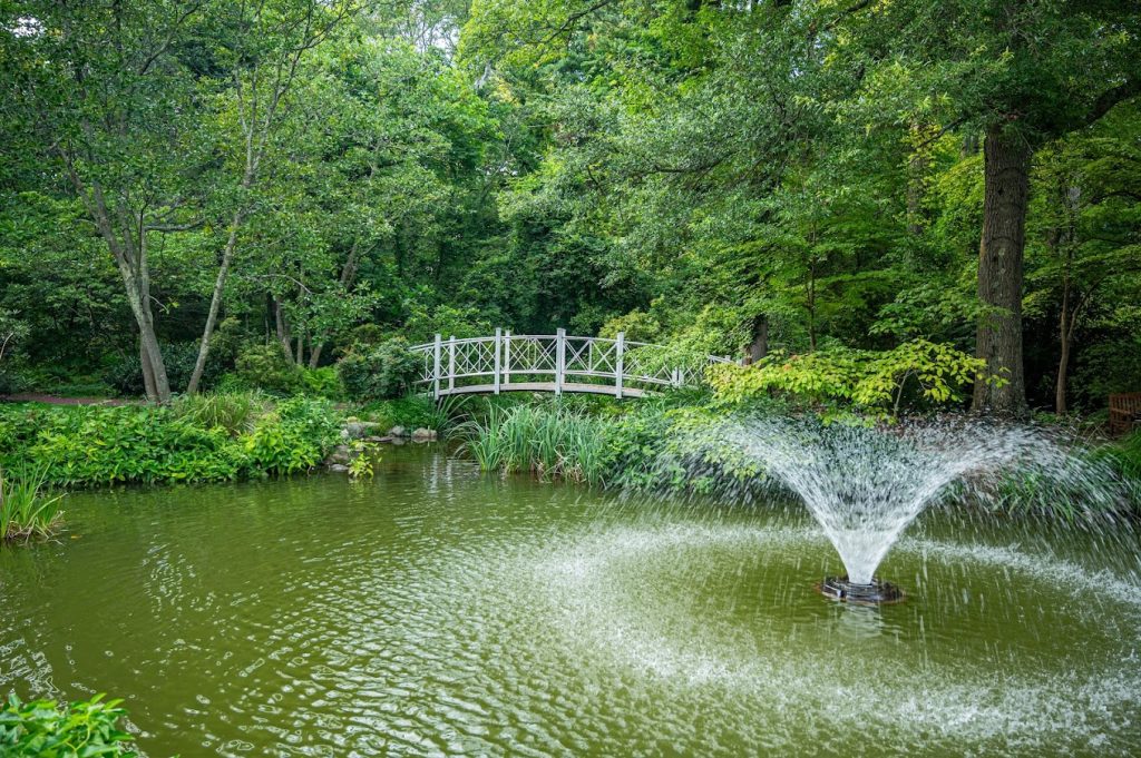 Sayen Park Botanical Garden 1024x681 Basement Waterproofing Mercer County, NJ